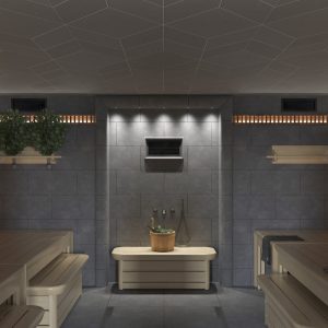 Система интеграции для бани и сауны Sangens Spa System X1 (Сангенс Спа система Х1) Система интеграции для бани и сауны Sangens Spa System X1 (Сангенс Спа система Х1)