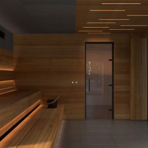 Система интеграции для бани и сауны Sangens Spa System X1 (Сангенс Спа система Х1) Система интеграции для бани и сауны Sangens Spa System X1 (Сангенс Спа система Х1)